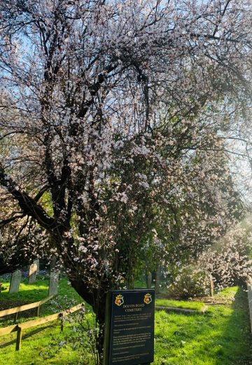 Dolvin Road Cemetery